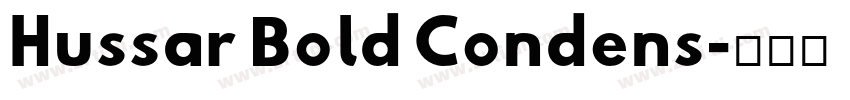 Hussar Bold Condens字体转换